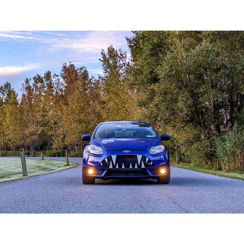 Ford Focus ST Üst Izgara Cadılar Bayramı Dişleri 3D Baskı (Bu ürün Sadece Plastik parçadır - Almadan Önce Soru Sorabilirsiniz)