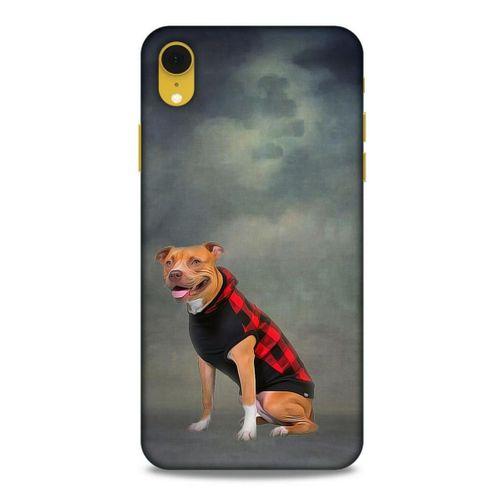 Apple iPhone XR Kılıf Köpek Kıyafetleri (31) TPU Kılıf Pitbull Yelek