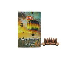 Good Fortune Back Flow Cones 10'lu