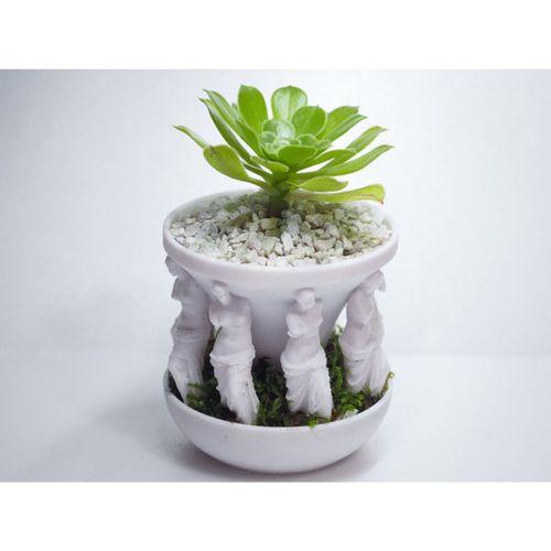 Sekiz Milo Saksı (Bu ürün Sadece Plastik parçadır - Almadan Önce Soru Sorabilirsiniz)