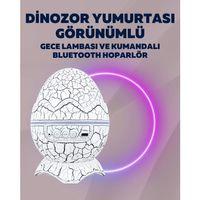 Yıldız Gökyüzü Efektli Çok Modlu Gece Işığı