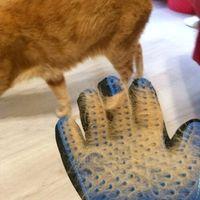 Tüy Toplama Eldiveni