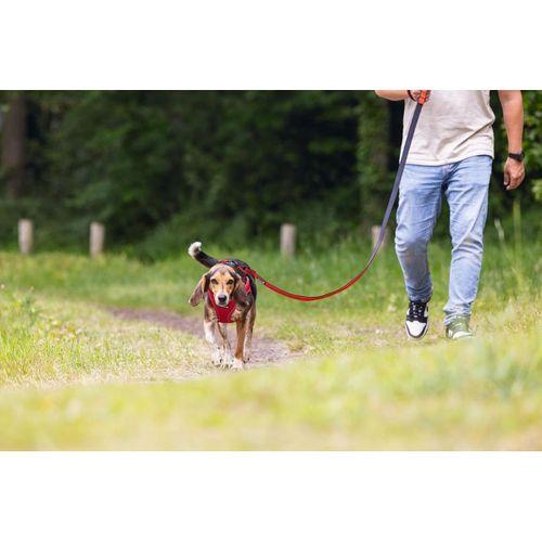 Beeztees Köpek Göğüs Tasması, Neopren, Kırmızı, M, 41-46cm