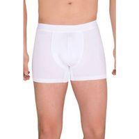 Berrak Erkek  Modal Boxer  4476