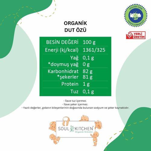 Organik Dut Özü 315gr (Soğuk Sıkım) (Şeker İlavesiz)
