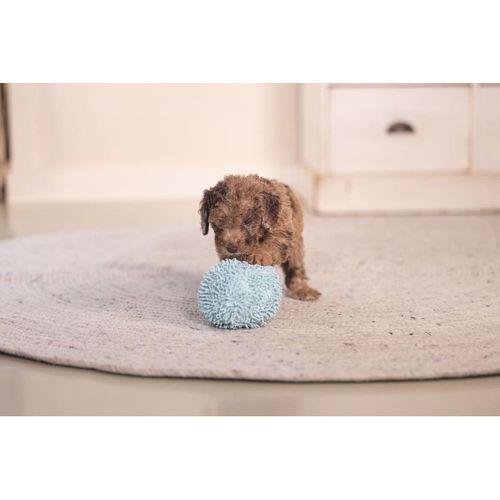 Beeztees Yavru Köpek Oyuncağı, Top, Peluş, Mavi, 10cm