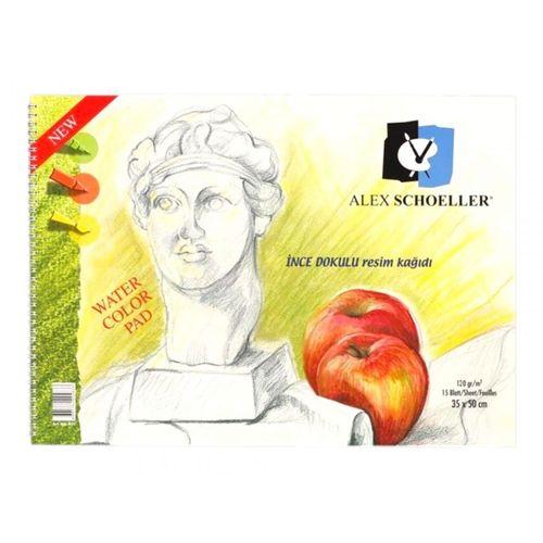 ALEX SPİRAL ŞEFFAF KAPAK 120 gram ( 35*50 cm) 15 Yaprak RESİM DEFTERİ  (ALEX-0833)