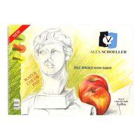 ALEX SPİRAL ŞEFFAF KAPAK 120 gram ( 35*50 cm) 15 Yaprak RESİM DEFTERİ  (ALEX-0833)