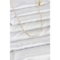 CM 14K Gold Renk 60 cm Zincirli Kadın Kolye