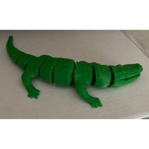 Mafsallı timsahlar - 5136675