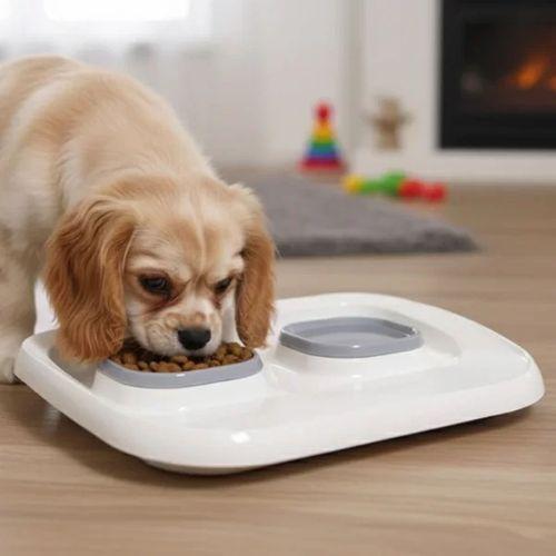 Mikopet Gri 2'si 1 Arada Mama Ve Su Kabı