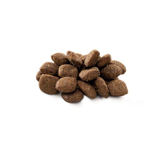 Brit Premium By Nature Hassas Sindirime Sahip Köpekler İçin, Kuzu Etli Kuru Mama 15 kg