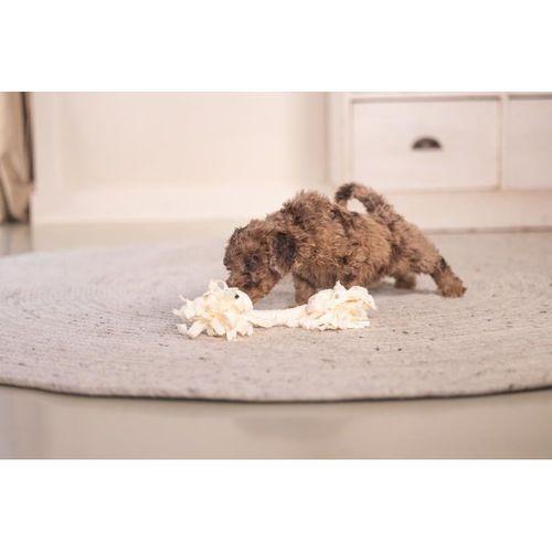 Beeztees Yavru Köpek Oyuncağı, Çift Düğümlü Diş İpi, Peluş, Pembe, 20x6x4,5cm