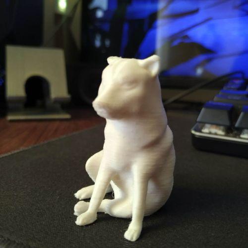 Chems Dog - 5138803