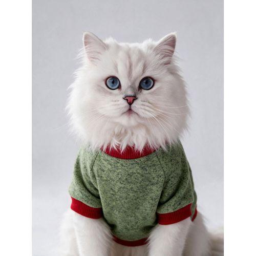 Çilek Tadında Kedi Sweatshirt Yeşil Kırmızı Sıcak Tutan Yumuşak Kedi Kıyafeti