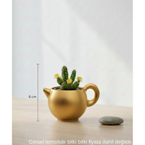 Gold Caydanlik Seklinde Mini Dekoratif Saksi 6 Cm Masa Ustu Ofis Dekoru