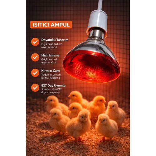150w Isıtıcı Ampul Kırmızı Isı Lambası Civciv Kümes Kuluçka E27 Duy Isıtma Ampulü