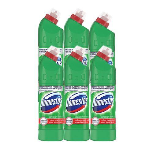 Domestos Dağ Esintisi Çamaşır Suyu 750 ml , 6 adet