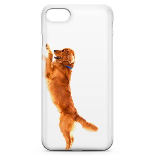 Apple iPhone 8 Kılıf Golden Retriever Arka Kapak Koruma Desenli Full Koruyucu