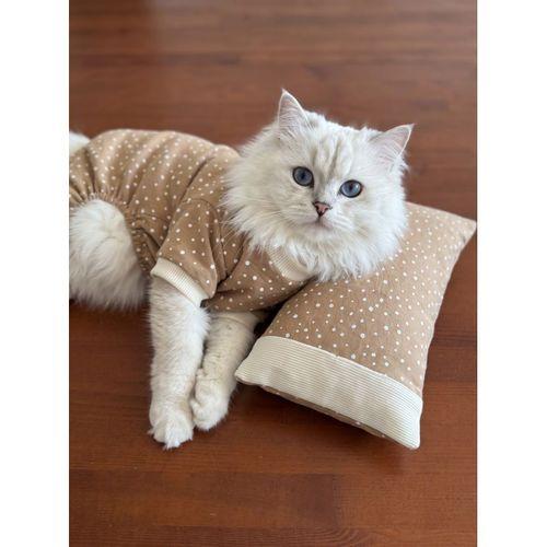 Latte Sprinkles Kedi Uyku Seti | Penye Kedi Tulum ve Mini Yastık Takımı | Pamuklu | Tüy Dökülmesini Azaltır |