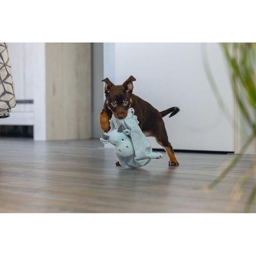 Beeztees Yavru Köpek Oyuncağı, Dragon, Peluş, Yeşil, 31,5x25x17cm