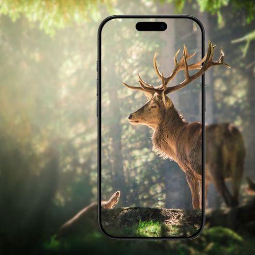 Apple iPhone 17 Air Zore Mikro Kamera Lens Koruyucu