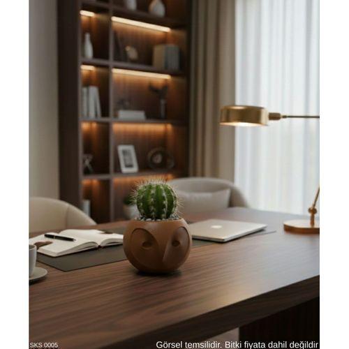 Kahverengi Baykuş Figürlü Mini Dekoratif Saksı 6 Cm Masaüstü Ofis Dekoru