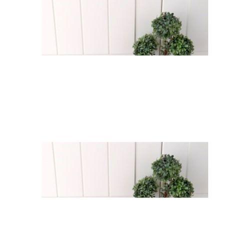 Yuvarlak Tabak 25cm Royaleks-YUV2525