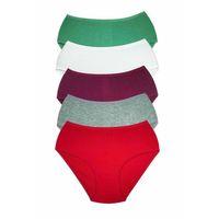 5 Adet Kadın Yüksek Bel Ribana Bato Külot S044