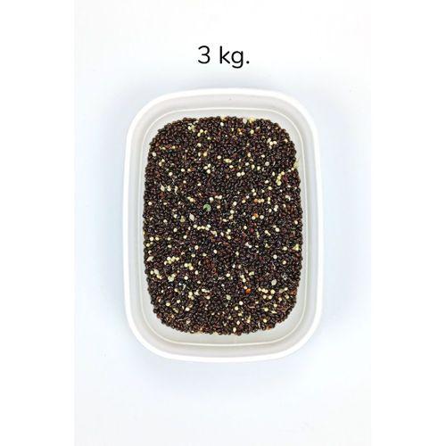 Siyah Darı Sade Tozsuz Doğal Taze Kuş Yemi - 3 kg