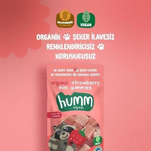 Humm Humm Organik Çilekli Glutensiz Vegan Mini Küpler 30 Gr