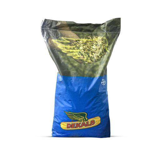 Dekalb Dkc 6442 Slaj Mısır Tohumu (50,000 Dane)