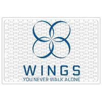 BTS WINGS Puzzle 240 Parça Yapboz