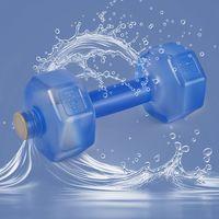 PRO SPORT DAMBIL 500 ML MAVİ