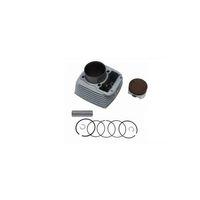 FALCON Cg Grubu Silindir Piston Komple Q65,5 15 Perno Gri