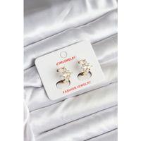 14K Gold Renk Kaplama Kutup Yıldız Zirkon Taşlı CM Kadın Küpe