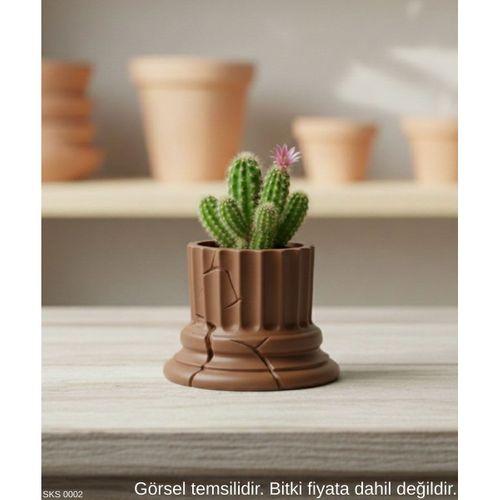 Kahverengi Klasik Sutun Form Mini Dekoratif Saksi 7 Cm Masa Ustu Ofis Dekoru