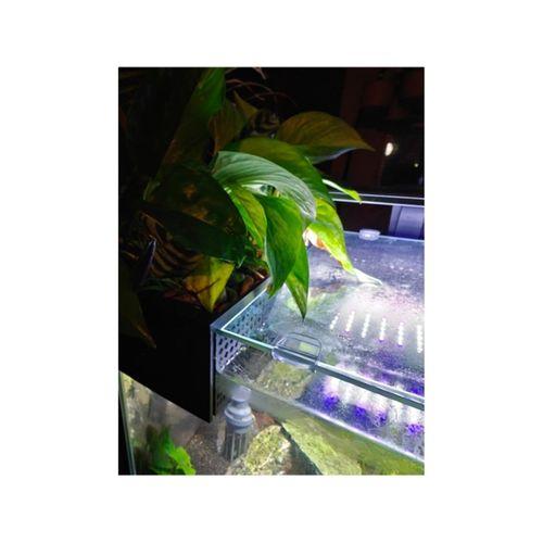 Asılı Akvaryum Saksı 3D Baskı (Bu ürün Sadece Plastik parçadır - Almadan Önce Soru Sorabilirsiniz)