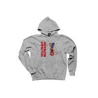 System of a Down Hypnotize Mezmerize Gri Kapşonlu Sweatshirt Hoodie