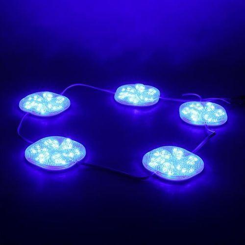 Powermaster 12 Volt 3 Watt Mavi Sabit 6565-2835 Modül Led