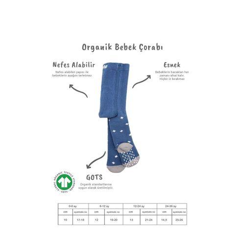 Bistyle Bistyle Tekli Puan Kaymaz Havlu Külotlu Çorap BS50502 İndigo