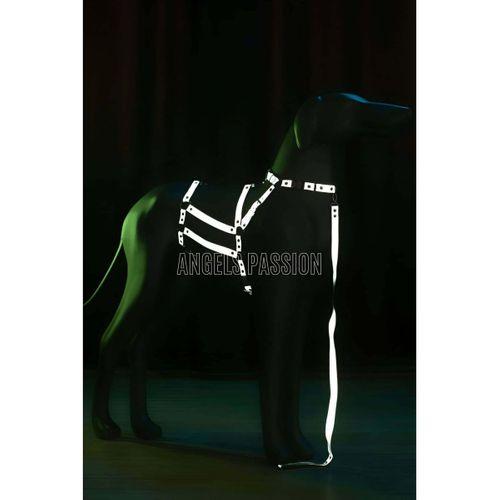 Reflektörlü - Ayarlanabilir Köpek Harness - Köpek Gezdirme Aparatı