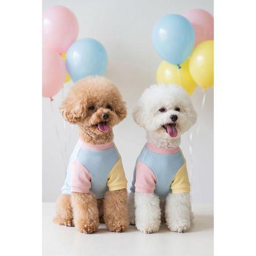 Bubbles Pastel Köpek Tişörtü | Cepli Şeker Renkli Yazlık Köpek Kıyafeti | Küçük Irklar İçin