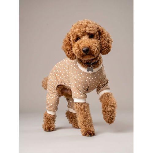 Latte Sprinkles Köpek Tulumu | Pamuklu Penye Köpek Pijaması | Küçük Irklar İçin | Tüy Dökülmesini Azaltır