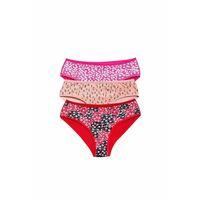 Pamuklu Geniş Kenarlı Likralı Desenli Bato Kadın Külot 3'lü Paket Set3