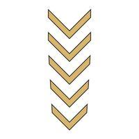 SEVGENT Cg Gold Çamurluk Üst Sticker