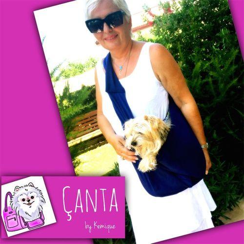 Köpek Taşima Çantası Lacivert