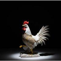 Özel Tasarım Polyester Horoz Figürü