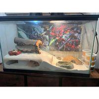 Sürüngen Mağarası (Bu ürün Sadece Plastik parçadır - Almadan Önce Soru Sorabilirsiniz)