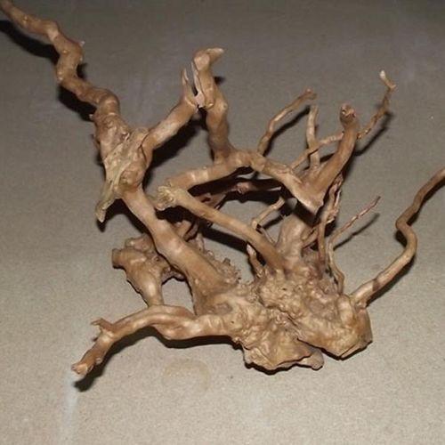 Çöl Kütüğü (Bağ)